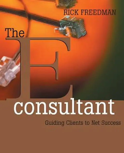 The Econsultant: Guiding Clients to Net Success by Rick Freedman