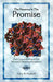 The Presence in the Promise by Harry N. Huxhold