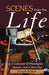 Scenes from the Life: A Collection of Monologues, Sketches, and a Short Play by Joseph McBee