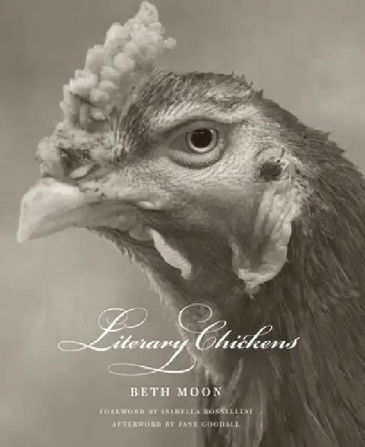 Literary Chickens by Beth Moon