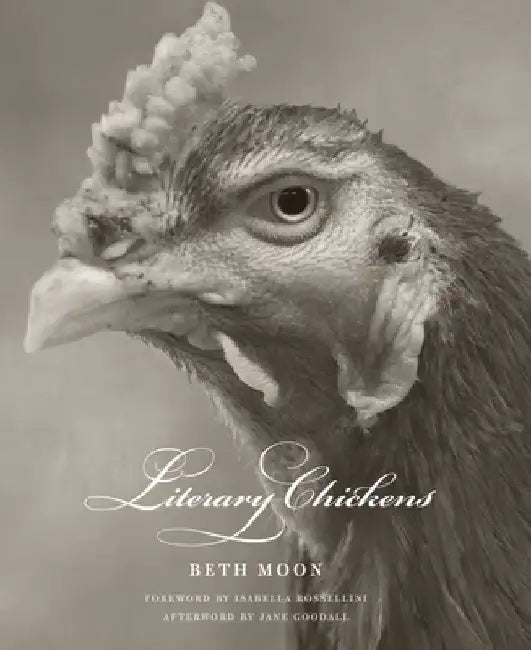 Literary Chickens by Beth Moon