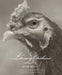 Literary Chickens by Beth Moon