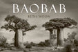 Baobab by Beth Moon