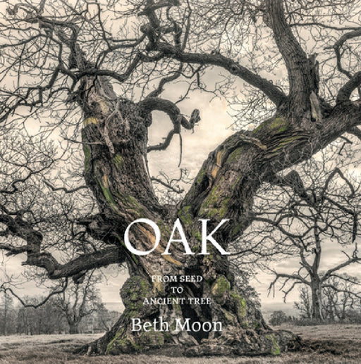 Oak: From Seed to Ancient Tree by Beth Moon, Todd Forrest