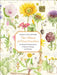 The Album of Plant Families: An Illustrated Exploration of Nature's Beauty and Bounty by Wendy Hollender