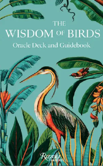 The Wisdom of Birds: Oracle Deck & Guidebook by Raxenne Maniquiz