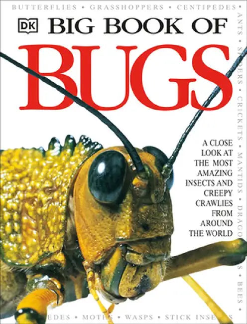 Big Book of Bugs by DK Publishing