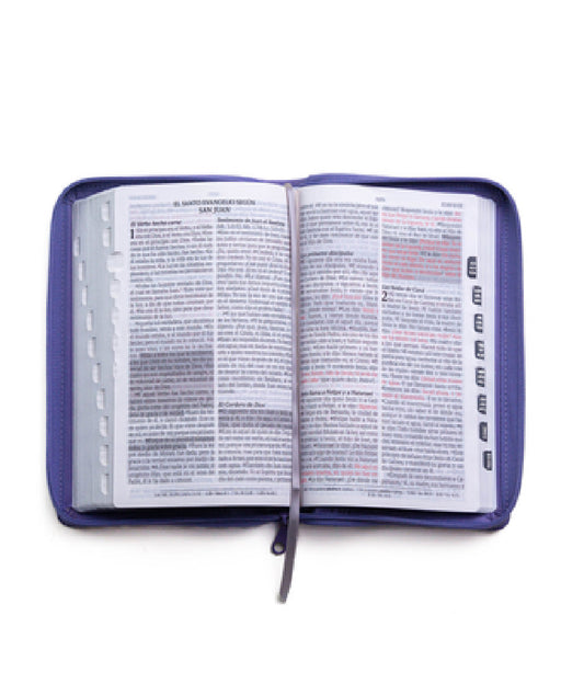 Santa Biblia de Promesas Reina Valera 1960 / Tamaño Manual / Letra Grande / Piel Especial Con Índice Y Cierre / Lavanda // Spanish Promise Bible Rvr60 by Editorial Unilit