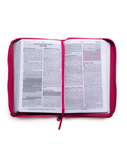 Santa Biblia de Promesas Reina Valera 1960 / Tamaño Manual / Letra Grande / Piel Especial Con Cierre / Fucsia // Spanish Promise Bible Rv60 / Handy Si by Editorial Unilit
