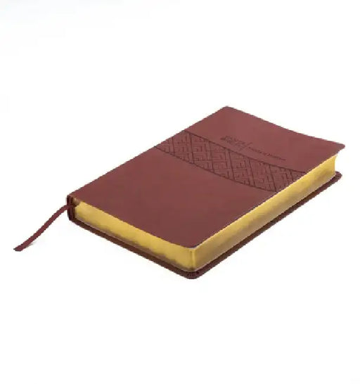 Biblia de Promesas Reina Valera 1960 / Letra Gigante - 13 Puntos / Piel Especial / Café // Spanish Promise Bible Rvr60 / Giant Print - 13 Points / Lea by Editorial Unilit