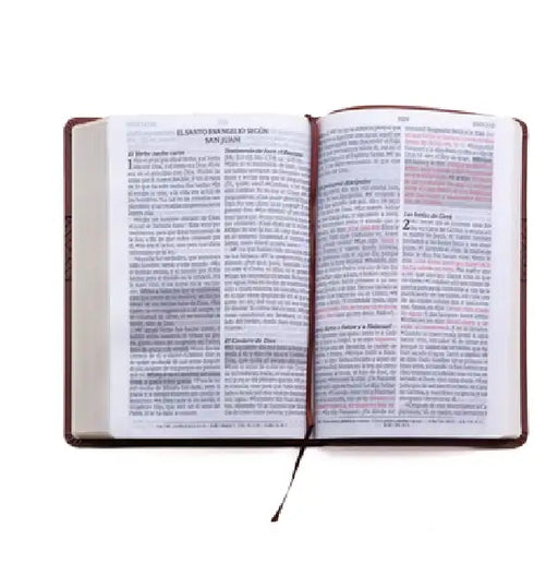 Santa Biblia de Promesas Reina Valera 1960 / Letra Gigante - 13 Puntos / Piel Especial Con Índice Y Cierre / Café // Spanish Promise Bible Rvr 1960 / by Editorial Unilit