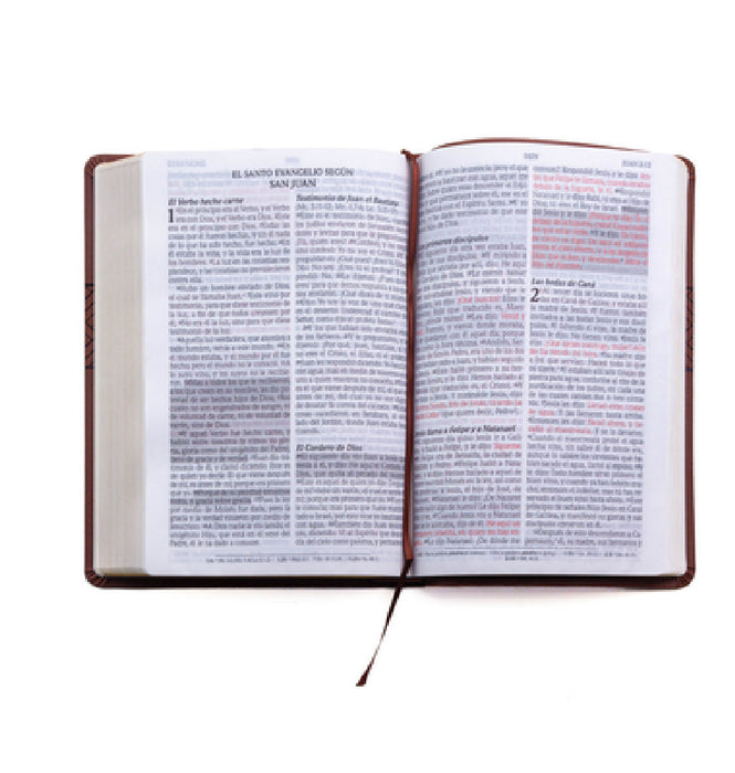 Santa Biblia de Promesas Reina Valera 1960 / Letra Gigante - 13 Puntos / Piel Especial Con Índice Y Cierre / Café // Spanish Promise Bible Rvr 1960 / by Editorial Unilit