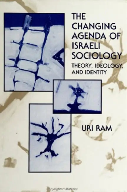 The Changing Agenda of Israeli Sociology: Theory, Ideology, and Identity by Uri Ram