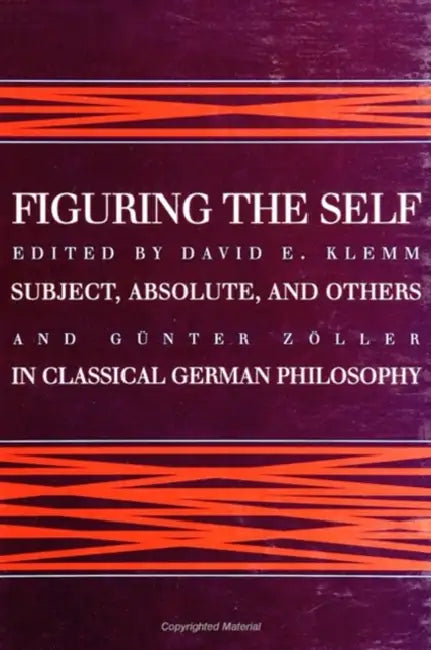 Figuring the Self: Subject, Absolute, and Others in Classical German Philosophy by David E. Klemm, Günter Zöller