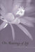 On Meanings of Life: Their Nature and Origin by Jerome Eckstein
