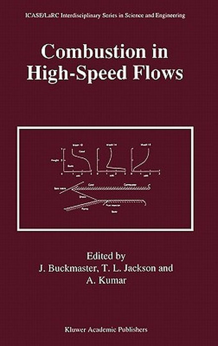 Combustion in High-Speed Flows by John Buckmaster