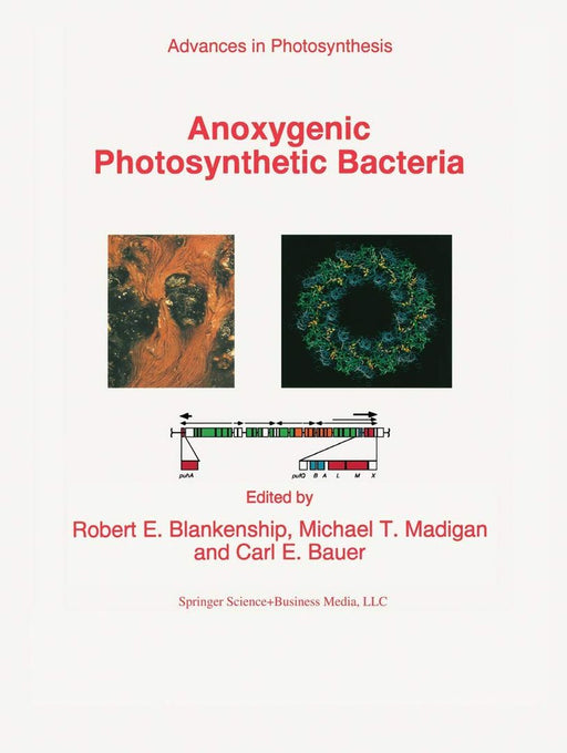 Anoxygenic Photosynthetic Bacteria by R. E. Blankenship