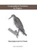 Geographical Variation in Waders by M. Engelmoer
