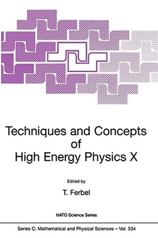 Techniques and Concepts of High Energy Physics X by Thomas Ferbel