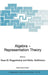 Algebra - Representation Theory by Klaus W. Roggenkamp