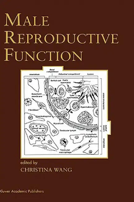 Male Reproductive Function by Christina Wang