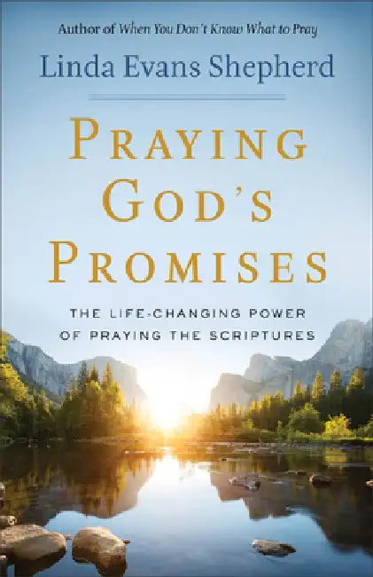 Praying God's Promises: The Life-Changing Power of Praying the Scriptures by Linda Evans Shepherd