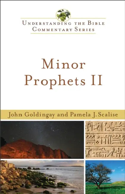 Minor Prophets II: Understanding the Bible Commentary Series by John Goldingay, Pamela Scalise