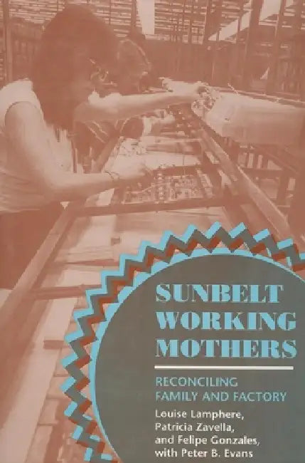 Sunbelt Working Mothers by Louise Lamphere, Patricia Zavella, Felipe Gonzales