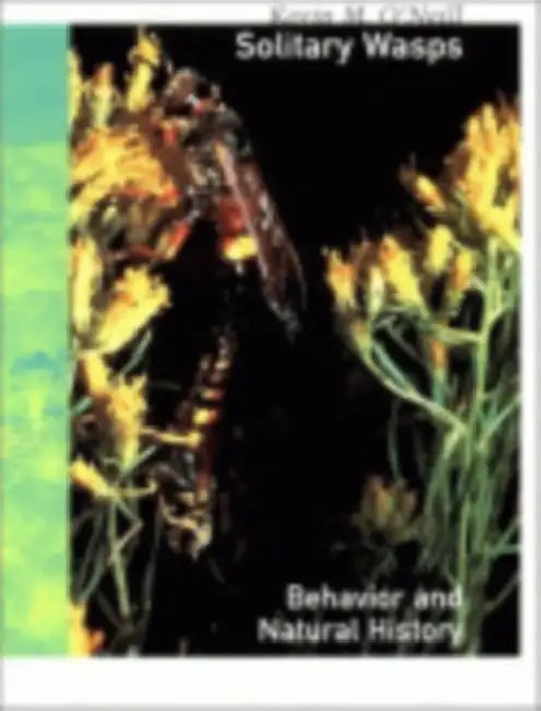 Solitary Wasps by Kevin M. O'Neill