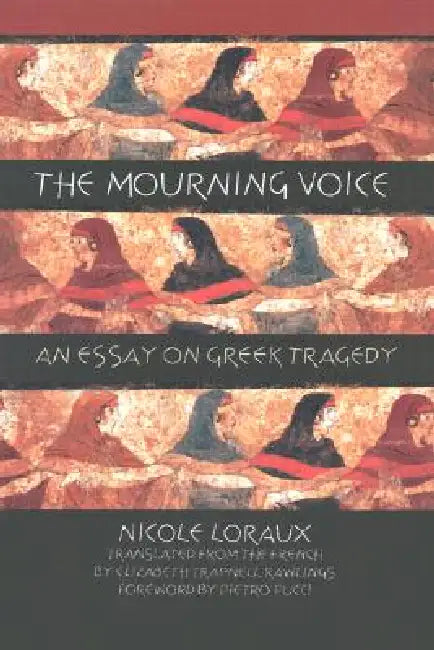 The Mourning Voice by Nicole Loraux, Elizabeth Trapnell Rawlings, Pietro Pucci