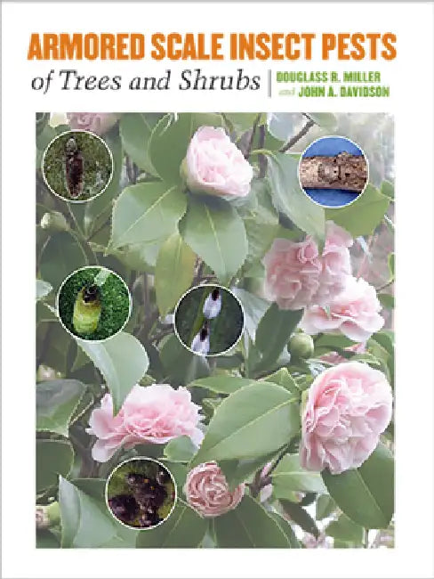 Armored Scale Insect Pests of Trees and Shrubs (Hemiptera: Diaspididae) by Douglass R. Miller, John A. Davidson