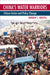 China's Water Warriors: Citizen Action and Policy Change by Andrew C. Mertha