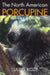 The North American Porcupine by Uldis Roze
