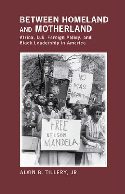 Between Homeland and Motherland by Jr. Tillery Alvin B.