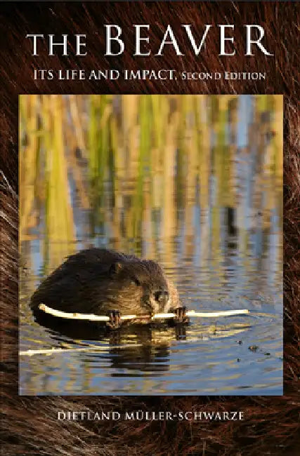 The Beaver: Natural History of a Wetlands Engineer by Dietland Müller-Schwarze
