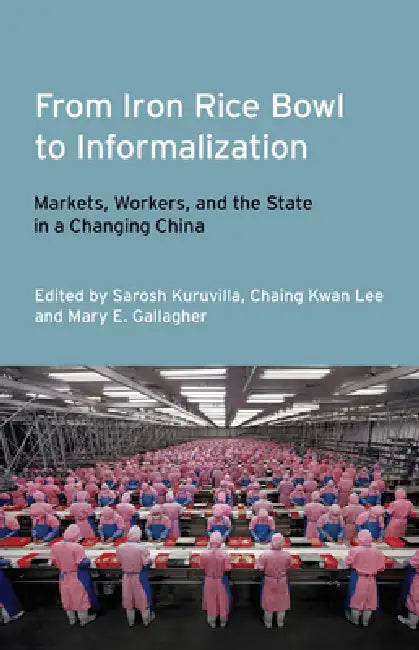 From Iron Rice Bowl to Informalization by Sarosh Kuruvilla, Ching Kwan Lee, Mary E. Gallagher