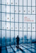 The Power of Inaction: Bank Bailouts in Comparison by Cornelia Woll