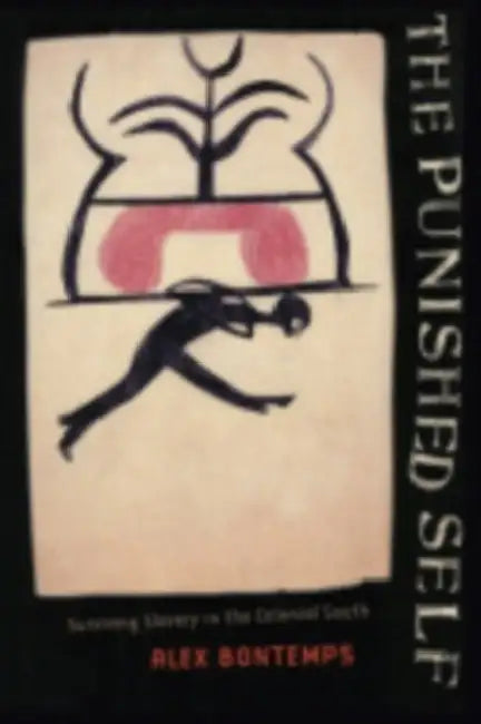 The Punished Self: Surviving Slavery in the Colonial South by Alex Bontemps