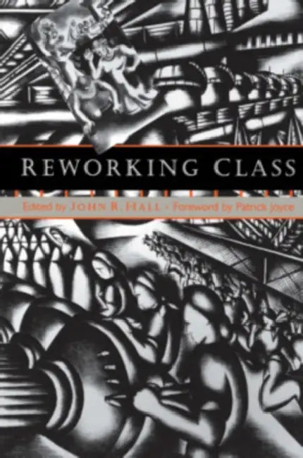 Reworking Class: Romanticism, Gender, and the Ethics of Understanding by John R. Hall, Patrick Joyce
