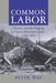 Common Labor by Peter Way