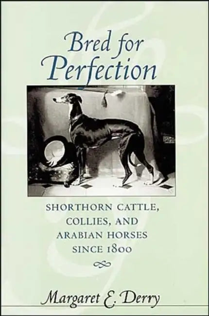 Bred for Perfection: Shorthorn Cattle, Collies, and Arabian Horses Since 1800 by Margaret E. Derry