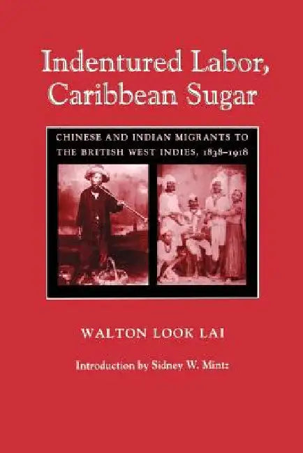 Indentured Labor, Caribbean Sugar: Chinese and Indian Migrants to the British West Indies, 1838-1918 by Walton Look Lai