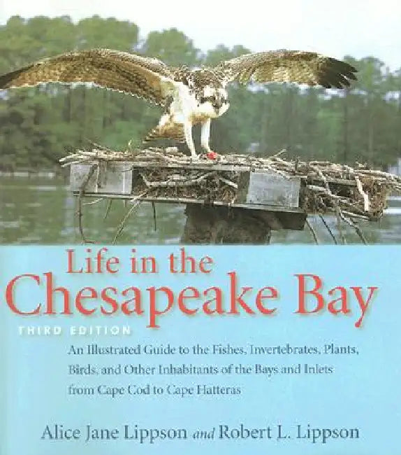 Life in the Chesapeake Bay by Alice Jane Lippson, Robert L. Lippson