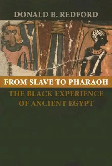 From Slave to Pharaoh: The Black Experience of Ancient Egypt by Donald B. Redford