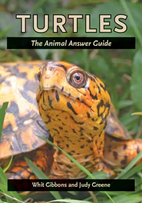 Turtles: The Animal Answer Guide by Whit Gibbons, Judy Greene, Cris Hagen