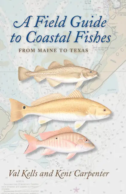 A Field Guide to Coastal Fishes: From Maine to Texas by Valerie A. Kells