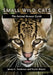 Small Wild Cats: The Animal Answer Guide by James G. Sanderson