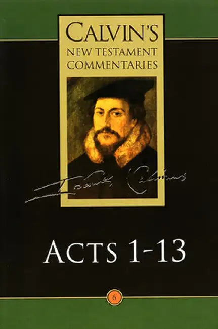 Calvin's New Testament Commentaries: Acts 1 - 13 by John Calvin