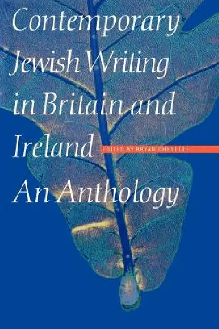Contemporary Jewish Writing in Britain and Ireland by Bryan Cheyette, Bryan Cheyette