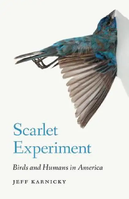 Scarlet Experiment: Birds and Humans in America by Jeff Karnicky